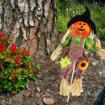 Helovino dekoravimas kaliausė Siaubo baro vakarėlis Haunted House Ornaments Rekvizitas One Size