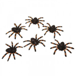D&eacute;coration araign&eacute;es Halloween - Viving Costumes - 6x7 cm - Lot de 6 pi&egrave;ces - Multicolore - Th&egrave;me Halloween