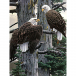 Pilnas apvalus 5D &bdquo;pasidaryk pats&ldquo; deimantinis siuvinėjimas &bdquo;Eagle Brother&ldquo; deimantinis paveikslas kryželiu dygsniuotas kalnų kri&scaron;tolas 20X30CM