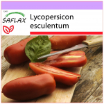 SAFLAX &ndash; Pomidoras &ndash; San Marzano &ndash; 10 sėklų &ndash; Lycopersicon esculentum