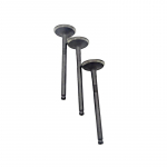 Tinka Toyota Corolla(1,8 litro) 2001-2009 Avensis(1,8 litro) 2000-2008 RAV4(1,8 litro) 2000-2005 i&scaron;metimo vožtuvas