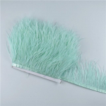 1M 5M 10Meter 8-10CM Juodos stručio plunksnos apdaila Natūralios baltos stručio plunksnos amatų juostelėms sijonams ir vakarėlių drabužiams 10 Meters