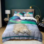 3D Arctic Aurora patalynės komplektas Gražus peizažas antklodės užvalkalas pagalvės užvalkalas 2/3 vienetų AU180 * 210 viso dydžio greitai džiūstantys namų baldai EU Single 135x200cm