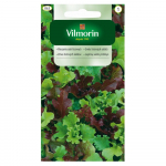 Lapinių salotų, sėklų mi&scaron;inys 0,5g - VILMORIN