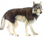 Shinrin Vilkas Nr.5496