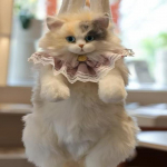 Mielas Imituotas Katės Dizainerio Kuprinė Moterims Kawaii Mink&scaron;tas Pliu&scaron;inis Madingas Kuprinės Rankinė Moteriai Mokyklinė Kuprinė Dovana Mergaitėms as the picture white