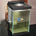 betta specialus stiklinis akvariumas stalinis mini mažas ekologinis savaime cirkuliuojantis stalinis akvariumas su filtro funkcija juoda