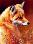 &bdquo;Pasidaryk pats&ldquo; 5D deimantinis paveikslas &bdquo;Fox Diamond Art&ldquo; siuvinėjimas &bdquo;Animlas&ldquo; kryžminio dygsnio pilnas apvalus dervos deimantinis mozaika, namų dekoro dovana Full Round 15x20cm