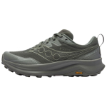 Saucony Peregrine 16 Gtx Universalūs Patogūs Neslystantys Vandeniui Atsparūs Bėgimo Bateliai Vyri&scaron;ki sportbačiai Žali S21068-110 41 gray