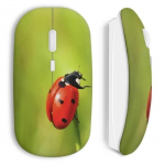 Souris Sans Fil Coccinelle