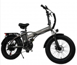E-bike DZ2002 electric folding bicycle mountain bike 20 inches 750W 48V 16AH outdoor electric bicycle 750W 48V 16AH pilka