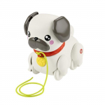 Fisher-Price-Mon Carlin &agrave; Promener-Jouet &agrave; tirer pour b&eacute;b&eacute; HTW94 gryna