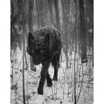5D Deimantinė tapyba Pilnas apvalus gręžimas Kryželiu rankdarbiai Deimantinė siuvinėjimo i&scaron;pardavimas Naujas atvykimas Cirkonio mozaika Namų dekoras Dovana 15x20CM