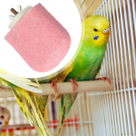 Bird Perch Trimmer Easy to Install Exercise Beak Grinding Stand Parrot for Cockatiels, Paws rožinė