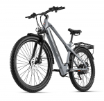 JOOBIKE JOO2 elektrinis dviratis suaugusiems, 1000 W variklis, 48 ​​V, 16 Ah baterija, 29 &times; 2,25 colio padanga, universalus elektrinis dviratis važinėjimui mieste ir lauke pilka