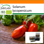 SAFLAX &ndash; Sodas mai&scaron;elyje &ndash; Ekologi&scaron;ki &ndash; Pomidorai &ndash; San Marzano &ndash; 15 sėklų &ndash; Su substratu tinkamame stovimame mai&scaron;elyje &ndash; Solanum lycopersicum