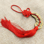 Penkių imperatorių pinigai Autenti&scaron;kas moliūgų pakabukas Zhaocai Town House varinė moneta nuo durų iki durų Feng shui talismano amuletas onesize
