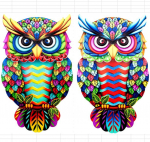 Metalinė pelėdos sienos dekoracija laukui, spalvinga sienos skulptūra, pelėdos ornamentas, i&scaron;skirtinė sodo dekoracija, tvoros ornamentas sodui, terasai 2pcs