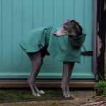 Neper&scaron;lampama, vėjui atspari &scaron;uns lietaus striukė, kvėpuojantis pilno kūno apsaugos sausas kostiumas, augintinio lietaus palto pončas Whippet, Greyhound Back 36cm žalia