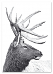 Plakat skandynawski jeleń 21x29,7 cm A4