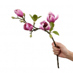 Gana netikra gėlė, nenuvytusi I&scaron;skirtinių detalių lentelės vidurys violetinė