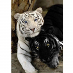 &bdquo;Pasidaryk pats&ldquo; Tiger 5D Deimantinė tapyba Viso apvalaus gręžimo Gyvūnų deimantų Siuvinėjimo Kryžminio dygsnio mozaikos rinkiniai Sienų menas Namų dekoras Full Round 20x30CM