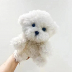 Mielas modeliavimas Garbanotas &scaron;uo Bichonas &scaron;uo pliu&scaron;inis žaislas Kawaii realiame gyvenime pliu&scaron;iniai žaislai mergaitės gimtadienio merginai dovanų priedai