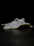 Mielas Raijos Rajiformes Gyvas Pliu&scaron;inis Žaislas Vaikams Kalėdinė Dovana Imitacija Raja Porosa Mielas Mink&scaron;tas Ta&scaron;keliais Lėlė Žuvis Jūros Gyvūnas 50x34cm gray