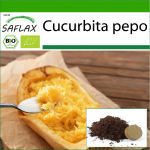 SAFLAX &ndash; Ekologi&scaron;kas &ndash; Skvo&scaron;as &ndash; Spagečiai &ndash; 5 sėklos &ndash; Su vazoniniu substratu geresniam auginimui &ndash; Cucurbita pepo