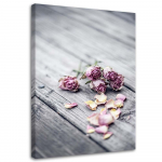 Feeby Canvas print, Džiovintos rožės