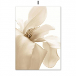 &Scaron;iaurės &scaron;alių smėlio spalvos kiaulpienės gėlės augalas plunksnos drobė paveikslas siena gamta menas plakatai spaudiniai paveikslai svetainės namų dekoras 21*30cm