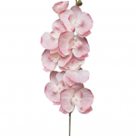 Pretty Imitation Phalaenopsis Easy Care &Scaron;viežiai i&scaron;laikomas pasidaryk pats &scaron;viesios kavos spalvos