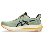 ASICS GT 2000 12 TR Nature Bathing - Žalias Draugas Geltonas Vyri&scaron;ki Sportbačiai 1011B775-250 42 gray