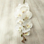 5 vnt Real Touch dirbtinės Phalaenopsis orchidėjų latekso drugelių orchidėjų gėlės 9 galvutės, skirtos namų gėlių dekoravimui