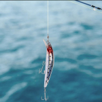 12 cm įkraunamas elektrinis Minnow plūdinis masalas