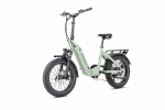 JOBOBIKE ROMER Elektrinis dviratis 250W tylus variklis 48V 15Ah baterija Priekinė pakaba sklandžiam važiavimo patyrimui mėtų žalios spalvos