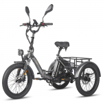 Fafrees F20 Mate Elektrinis dviratis Krovininis dviratis 500W Variklis Sulankstomas Miesto elektrinis dviratis Didžiausias greitis 30 km/h 48V 21AH LCD ekranas Maksimali apkrova 180 kg Lite pilka