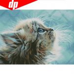 &bdquo;Pasidaryk pats&ldquo; deimantinis siuvinėjimas 5D deimantinis dažymas kryželiu &bdquo;Pussy Cat&ldquo; deimantinė mozaika, apvalus pilnas gręžtuvas 20X30