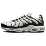 Nike Air Max Plus Panda FV6264-001 39