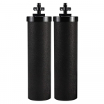 2 vnt vandens valymo filtro elementas Black Berkey