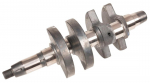 Wał Korbowy Cedrus Agregat Diesel Ceddg12E-3F 700924