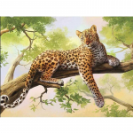 5D &bdquo;pasidaryk pats&ldquo; deimantų tapyba Leopardo kalnų kri&scaron;toliniai deimantiniai siuvinėjimai Gyvūnų deimantų mozaikos siuvinėjimas kryželiu 20X30CM