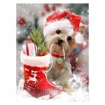 Deimantinis paveikslas Kalėdų sniego senelis kryžminio dygsnio Naujas atvykimas 5D &bdquo;pasidaryk pats&ldquo; deimantinis siuvinėjimas mozaika animacinių filmų amatų &scaron;ventės dekoracijos Full Round 20x30CM