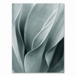 Palmių lapai Augalų Menas Drobės tapyba Aloe Botanical S ir spaudiniai Moduliniai sienų paveikslėliai gyvenamojo kambario namų dekoravimui be rėmelių 21*30cm