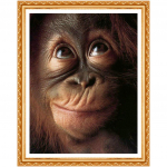 5D &bdquo;pasidaryk pats&ldquo; apvalus deimantinis siuvinėjimas beždžionės beždžionės orangutanos &scaron;impanzės beždžionės deimantinis paveikslas 20X30CM