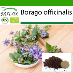 SAFLAX Ekologi&scaron;kas - Vaistinis agurkas - 40 sėklų - Su auginimo substratu geresniam auginimui - Borago officinalis