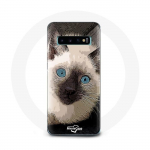 Coque pour Samsung Galaxy S10 Edge Chat Siamois Noir et blanc aux Yeux Bleus