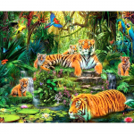 Siuvinėjimo kryželiu rinkinys &bdquo;pasidaryk pats&ldquo; deimantinis siuvinėjimas &bdquo;Forest Tiger&ldquo; pilnas apvalus deimantinis dažymas, mozaikos namų dekoras 20X30CM