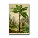 Drobės tapyba Vintažinis augalų botaninis tyrimas Svetainė Pakabinami plakatai ir spaudiniai Paveikslas Esteti&scaron;kas kambarys Namų dekoras 21X30cm No Frame