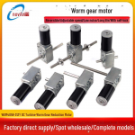 12V/24V DC Sraigtinis reduktorius su savaiminiu užsifiksavimu ir reguliuojamu greičiu elektrinei drabužių džiovyklei Single output shaft-24v21